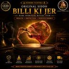 Siddh Billi Ki Jer – Rare Spiritual Ritual Item