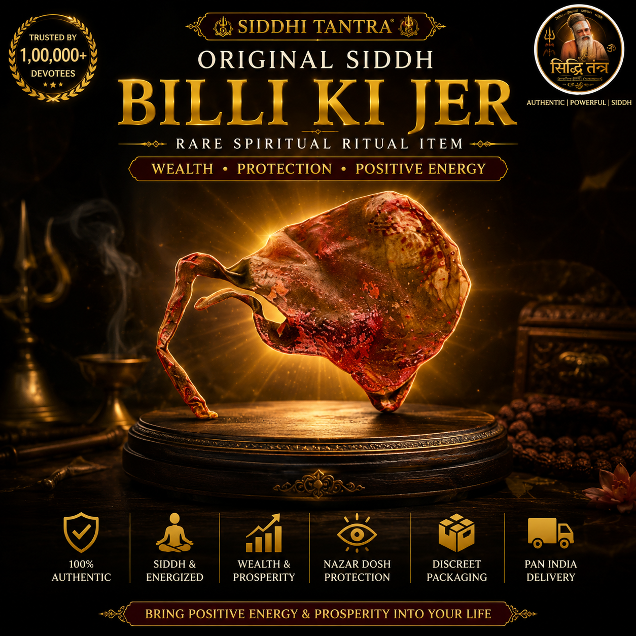 Siddh Billi Ki Jer – Rare Spiritual Ritual Item