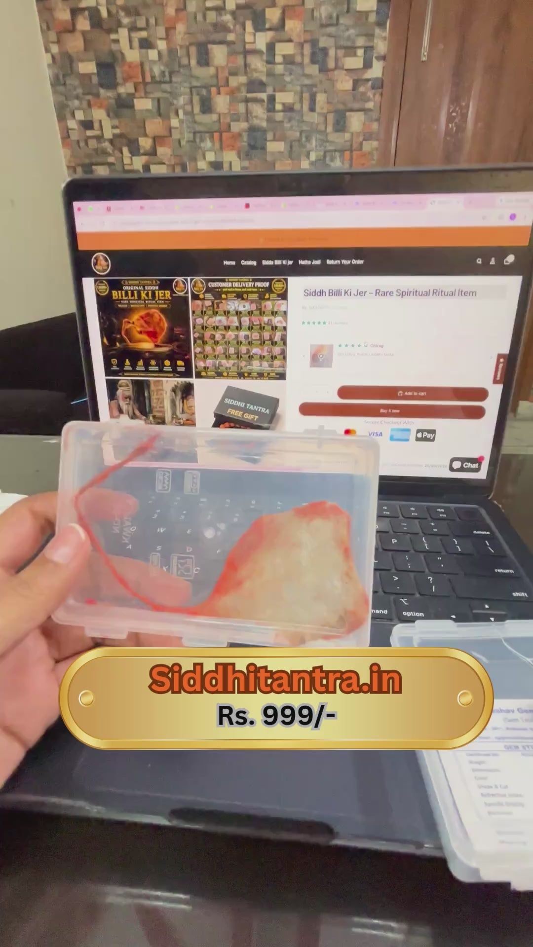 Siddh Billi Ki Jer – Rare Spiritual Ritual Item